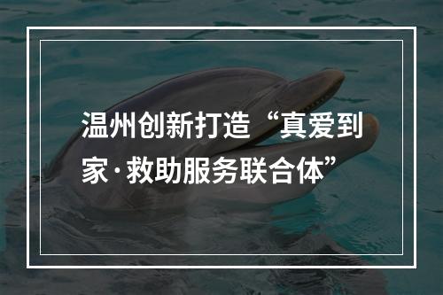 温州创新打造“真爱到家·救助服务联合体”