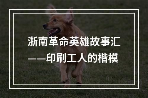 浙南革命英雄故事汇——印刷工人的楷模