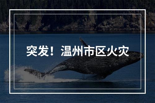 突发！温州市区火灾