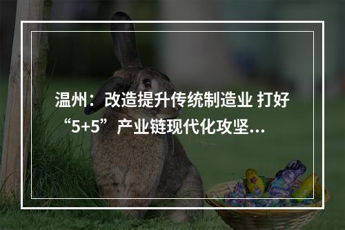 温州：改造提升传统制造业 打好“5+5”产业链现代化攻坚战