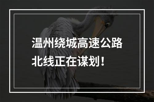 温州绕城高速公路北线正在谋划！