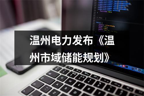温州电力发布《温州市域储能规划》