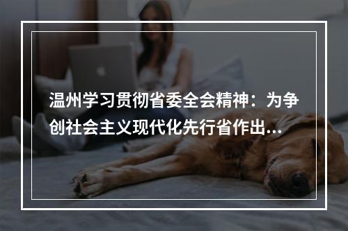 温州学习贯彻省委全会精神：为争创社会主义现代化先行省作出温州贡献