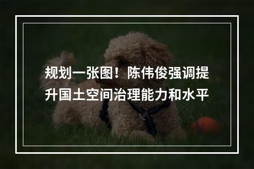 规划一张图！陈伟俊强调提升国土空间治理能力和水平