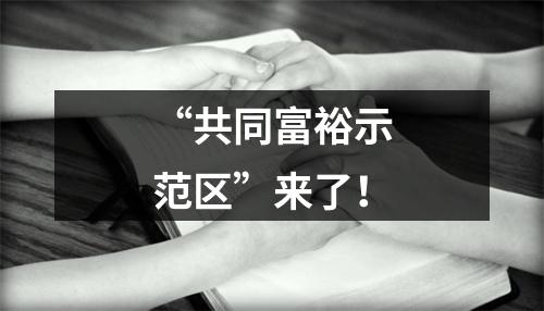 “共同富裕示范区”来了！