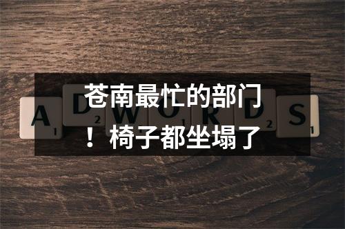 苍南最忙的部门！椅子都坐塌了
