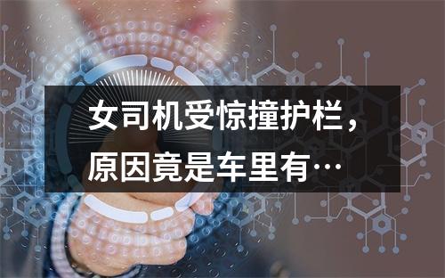 女司机受惊撞护栏，原因竟是车里有…