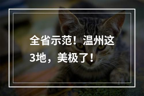 全省示范！温州这3地，美极了！