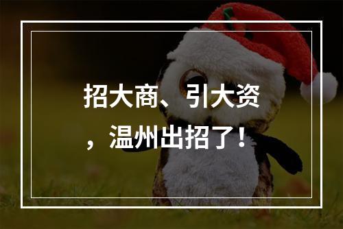 招大商、引大资，温州出招了！