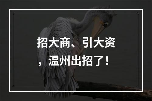 招大商、引大资，温州出招了！