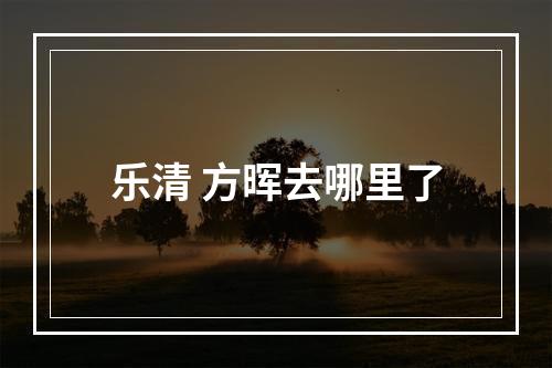 乐清 方晖去哪里了