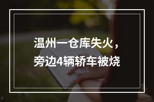 温州一仓库失火，旁边4辆轿车被烧