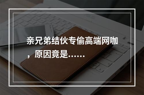 亲兄弟结伙专偷高端网咖，原因竟是......