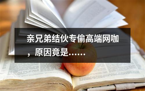 亲兄弟结伙专偷高端网咖，原因竟是......