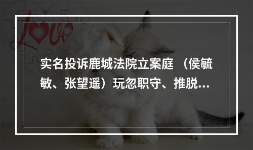 实名投诉鹿城法院立案庭 （侯毓敏、张望遥）玩忽职守、推脱不作为