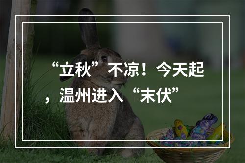 “立秋”不凉！今天起，温州进入“末伏”