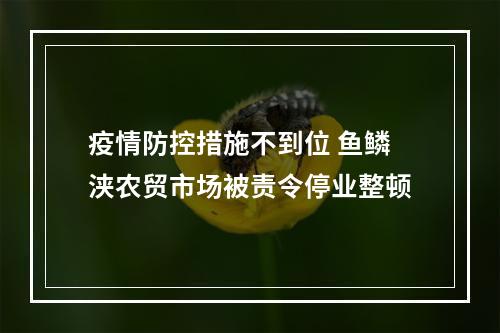 疫情防控措施不到位 鱼鳞浃农贸市场被责令停业整顿
