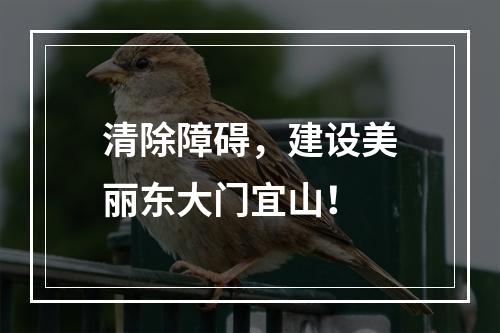 清除障碍，建设美丽东大门宜山！