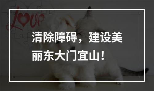 清除障碍，建设美丽东大门宜山！