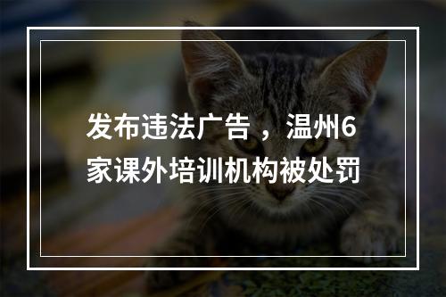 发布违法广告 ，温州6家课外培训机构被处罚