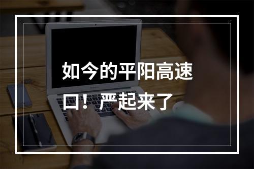 如今的平阳高速口！严起来了