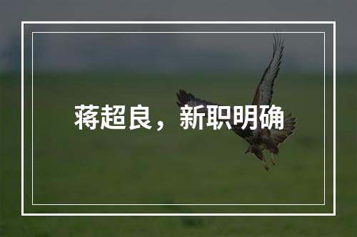 蒋超良，新职明确