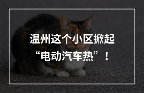 温州这个小区掀起“电动汽车热”！