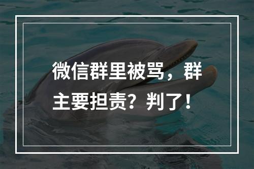 微信群里被骂，群主要担责？判了！