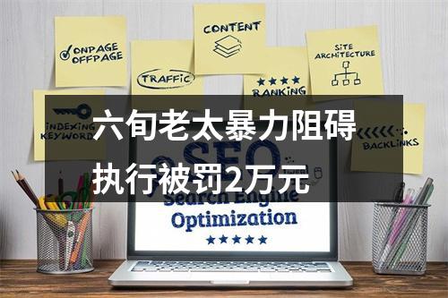 六旬老太暴力阻碍执行被罚2万元
