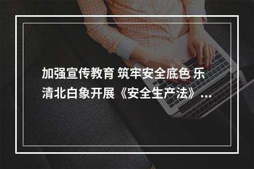 加强宣传教育 筑牢安全底色 乐清北白象开展《安全生产法》宣传普及活动