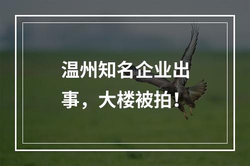 温州知名企业出事，大楼被拍！