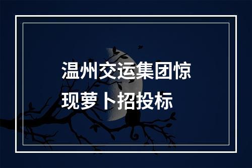 温州交运集团惊现萝卜招投标