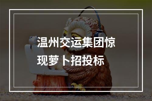 温州交运集团惊现萝卜招投标