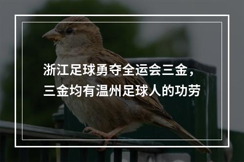 浙江足球勇夺全运会三金，三金均有温州足球人的功劳