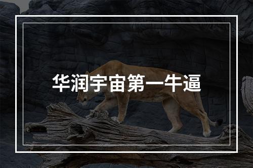 华润宇宙第一牛逼