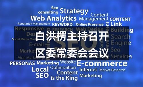 白洪楞主持召开区委常委会会议