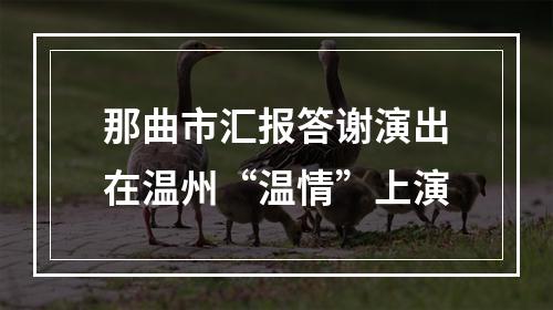 那曲市汇报答谢演出在温州“温情”上演