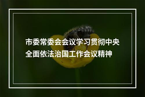 市委常委会会议学习贯彻中央全面依法治国工作会议精神