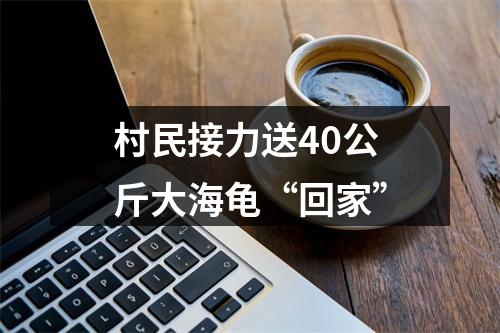 村民接力送40公斤大海龟“回家”