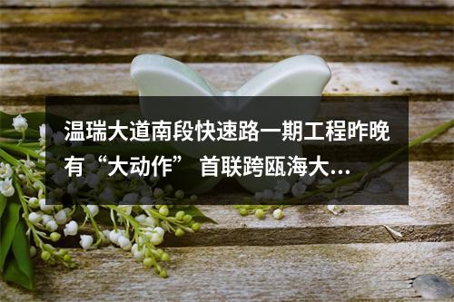 温瑞大道南段快速路一期工程昨晚有“大动作” 首联跨瓯海大道钢箱梁顺利吊装