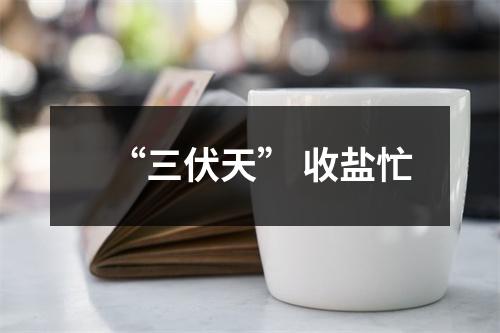 “三伏天” 收盐忙