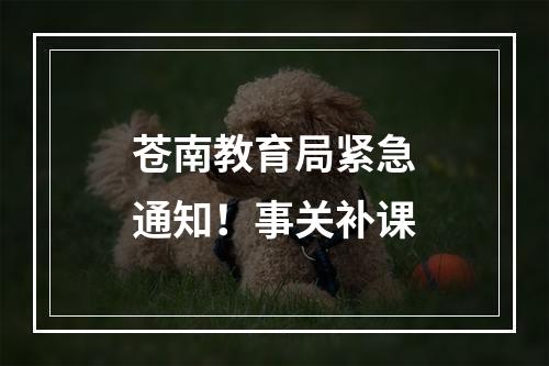 苍南教育局紧急通知！事关补课