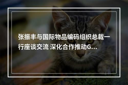 张振丰与国际物品编码组织总裁一行座谈交流 深化合作推动GM2D在温先行示范