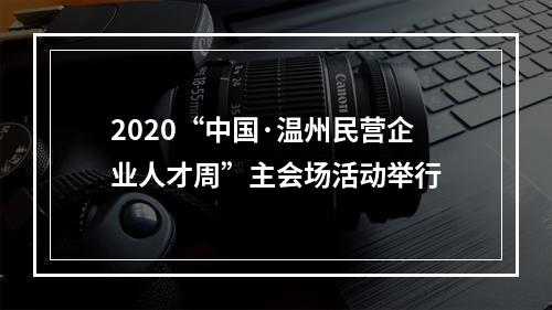 2020“中国·温州民营企业人才周”主会场活动举行