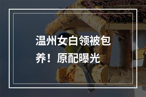 温州女白领被包养！原配曝光