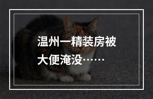 温州一精装房被大便淹没……