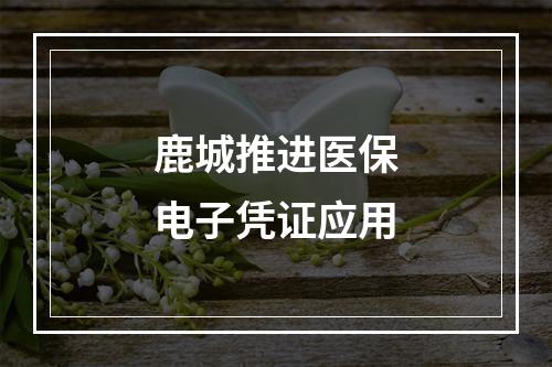 鹿城推进医保电子凭证应用