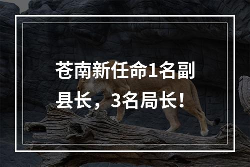 苍南新任命1名副县长，3名局长！