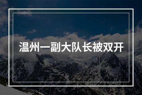 温州一副大队长被双开