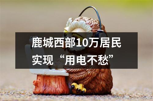 鹿城西部10万居民实现“用电不愁”